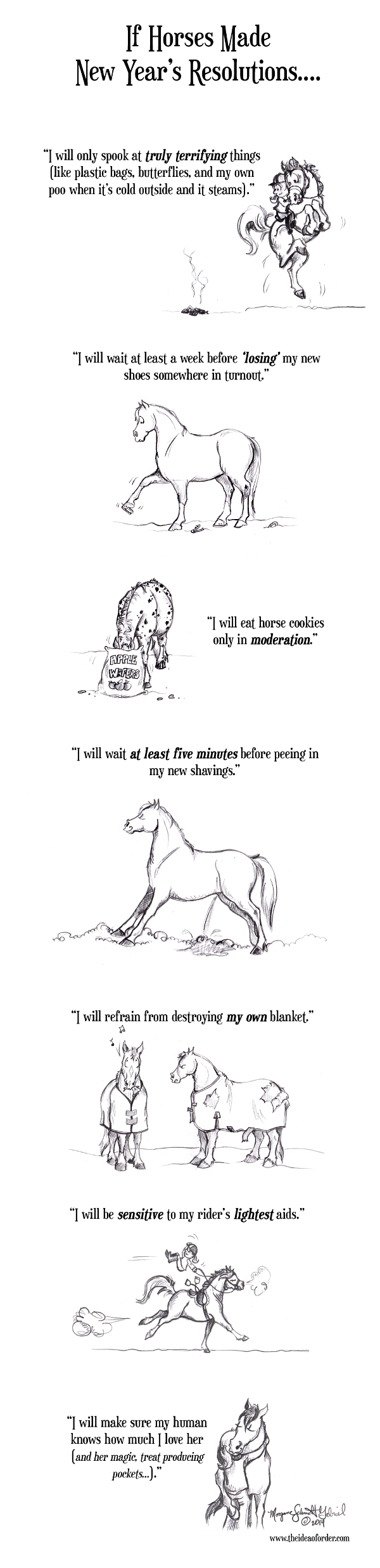 If Horses made New Years Resolutions from The Idea of Order